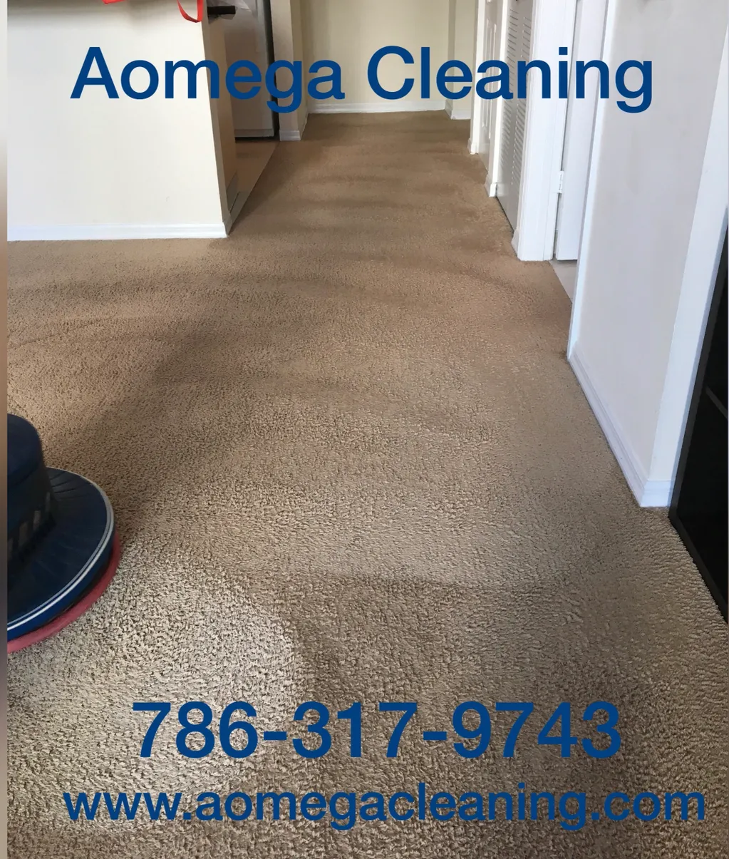 Carpet Cleaning Janitorial Services in Miami