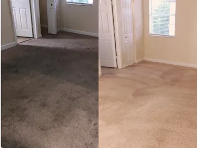 carpet cleaning service miami